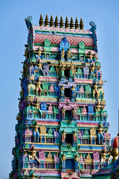 jayanth-muppaneni.jpeg